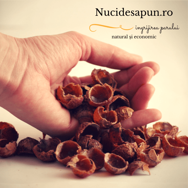 Nuci de sapun